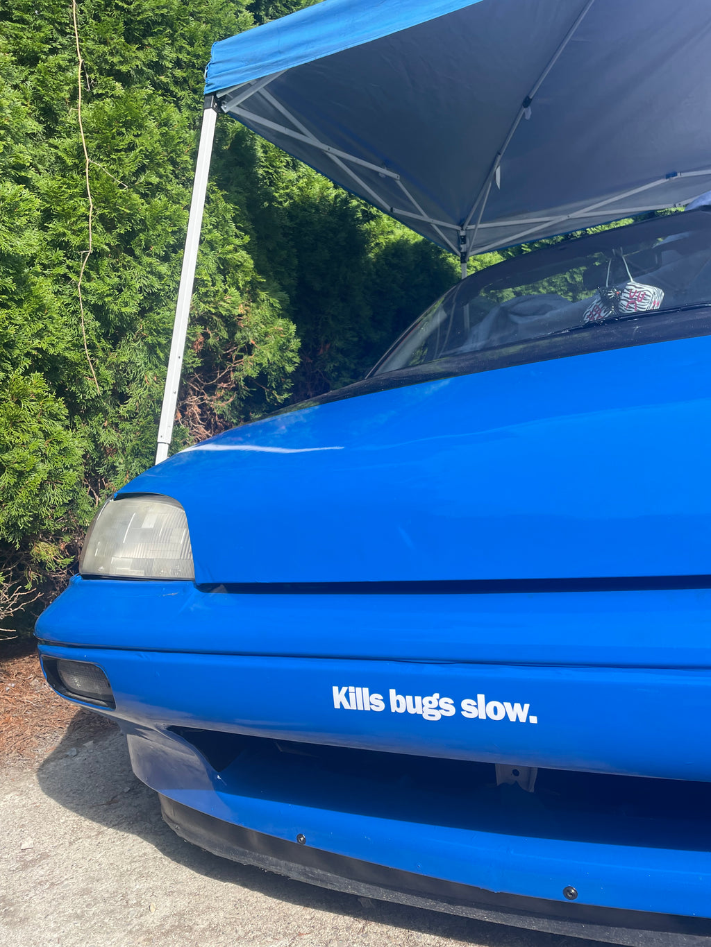 BUGS DIE SLOW DECAL