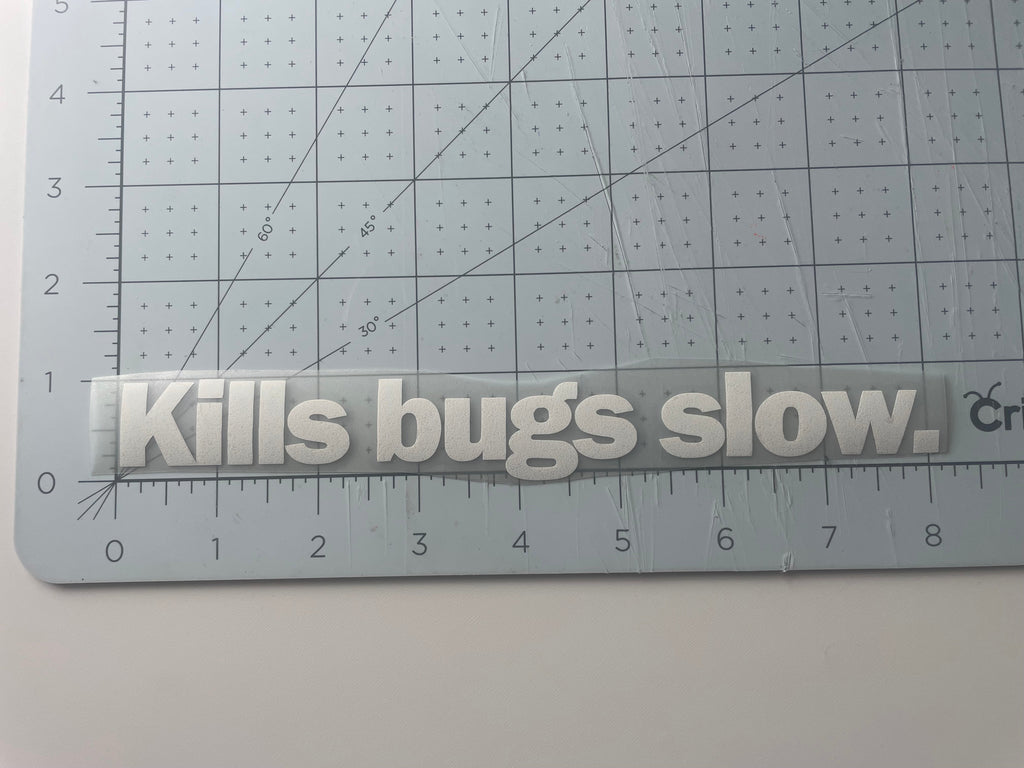 BUGS DIE SLOW DECAL